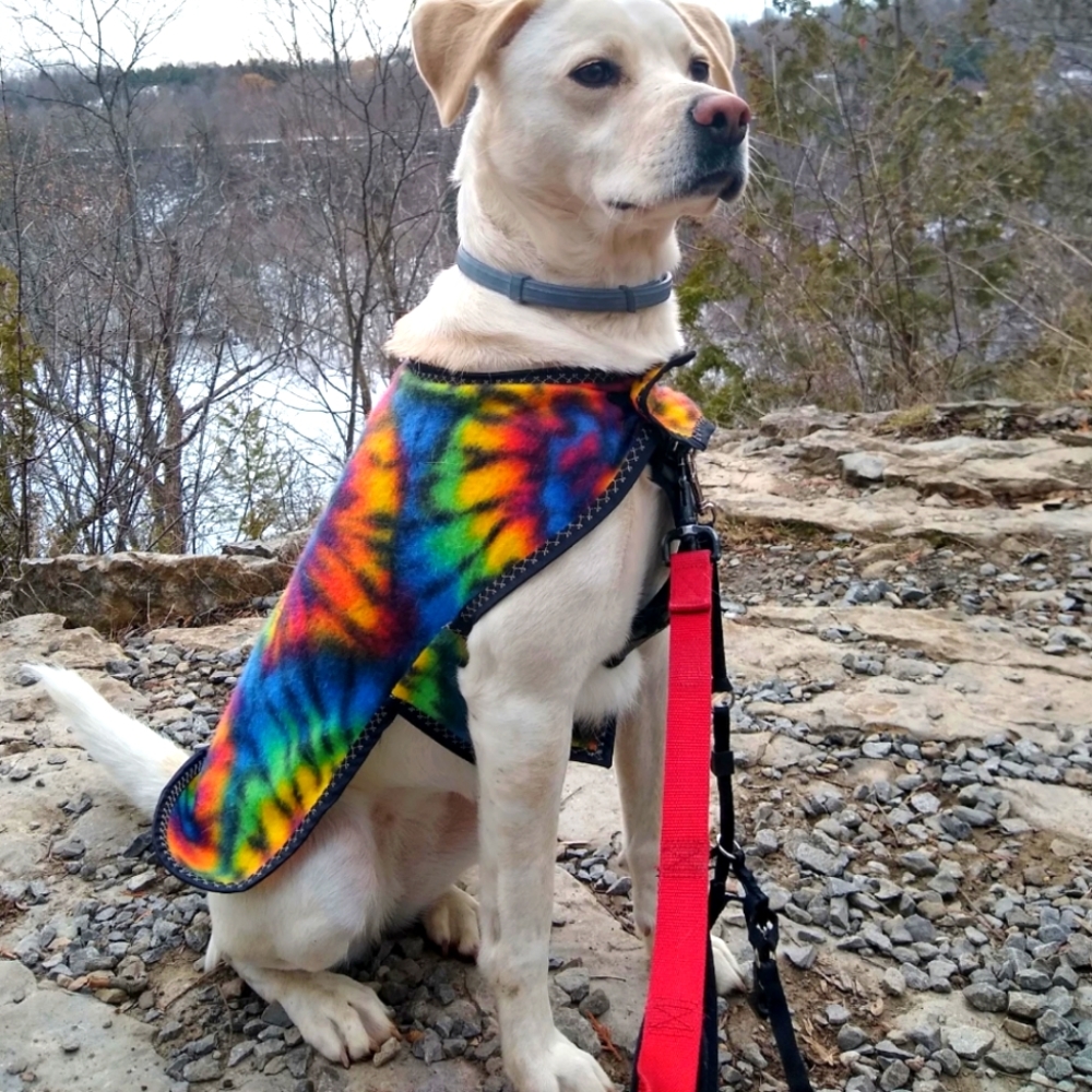 Dog sweater tie dye